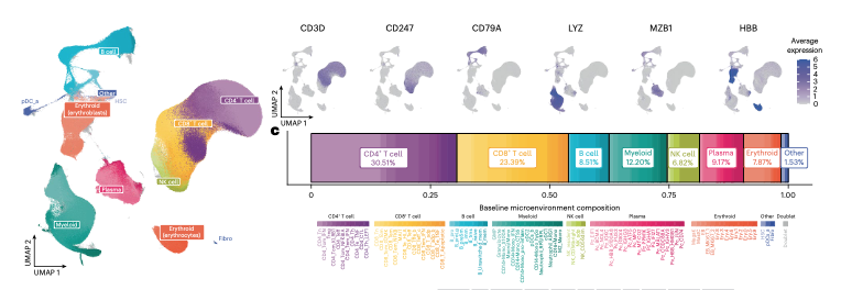 Immune Atlas Cell Type Overview (Pilcher et al., Fig. 2A–2B)