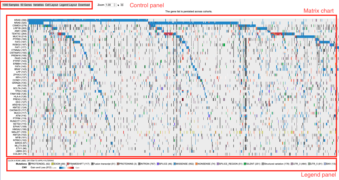 Oncomatrix chart overview