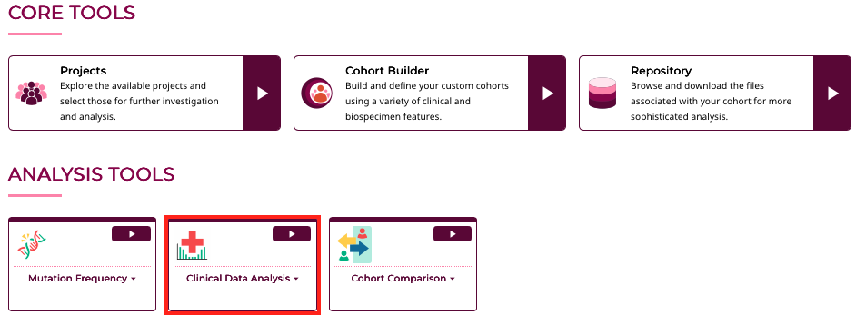 Clinical Data Analysis Center Overview