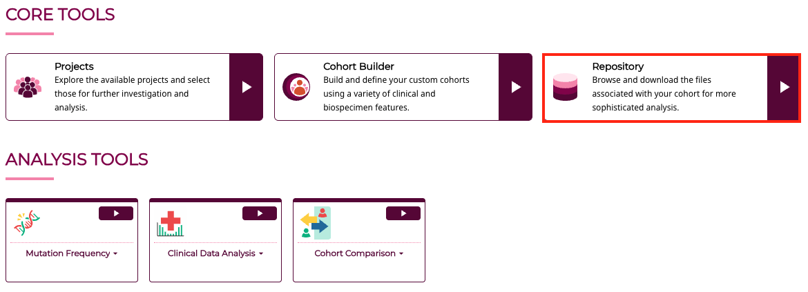 Repository entry point run app